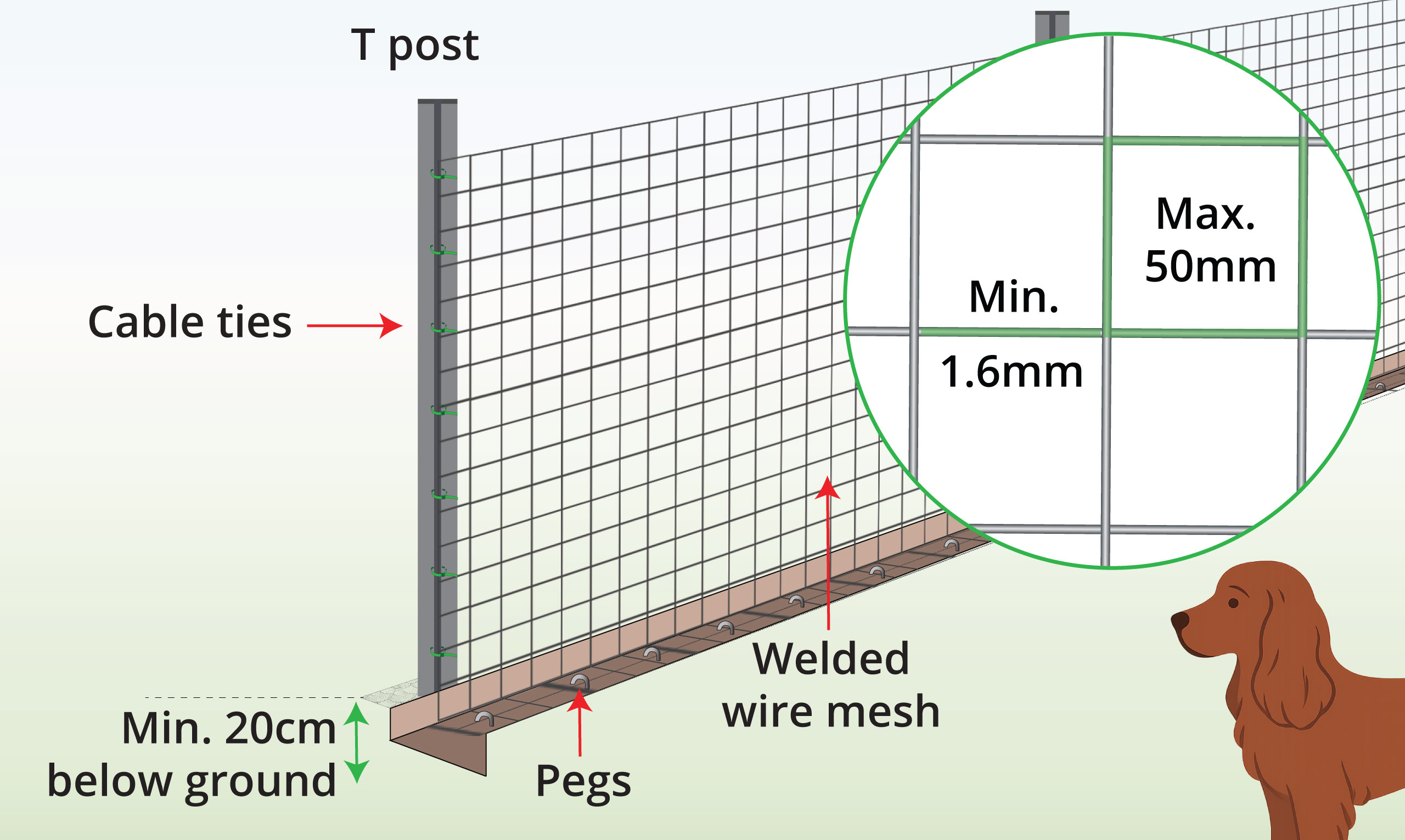 medium-dog-fence-anatomy