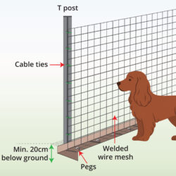 medium-dog-fence-anatomy