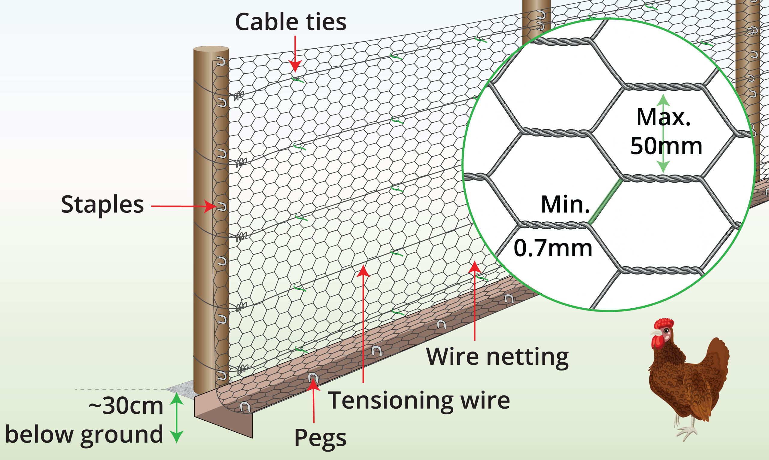 poultry-fencing-anatomy