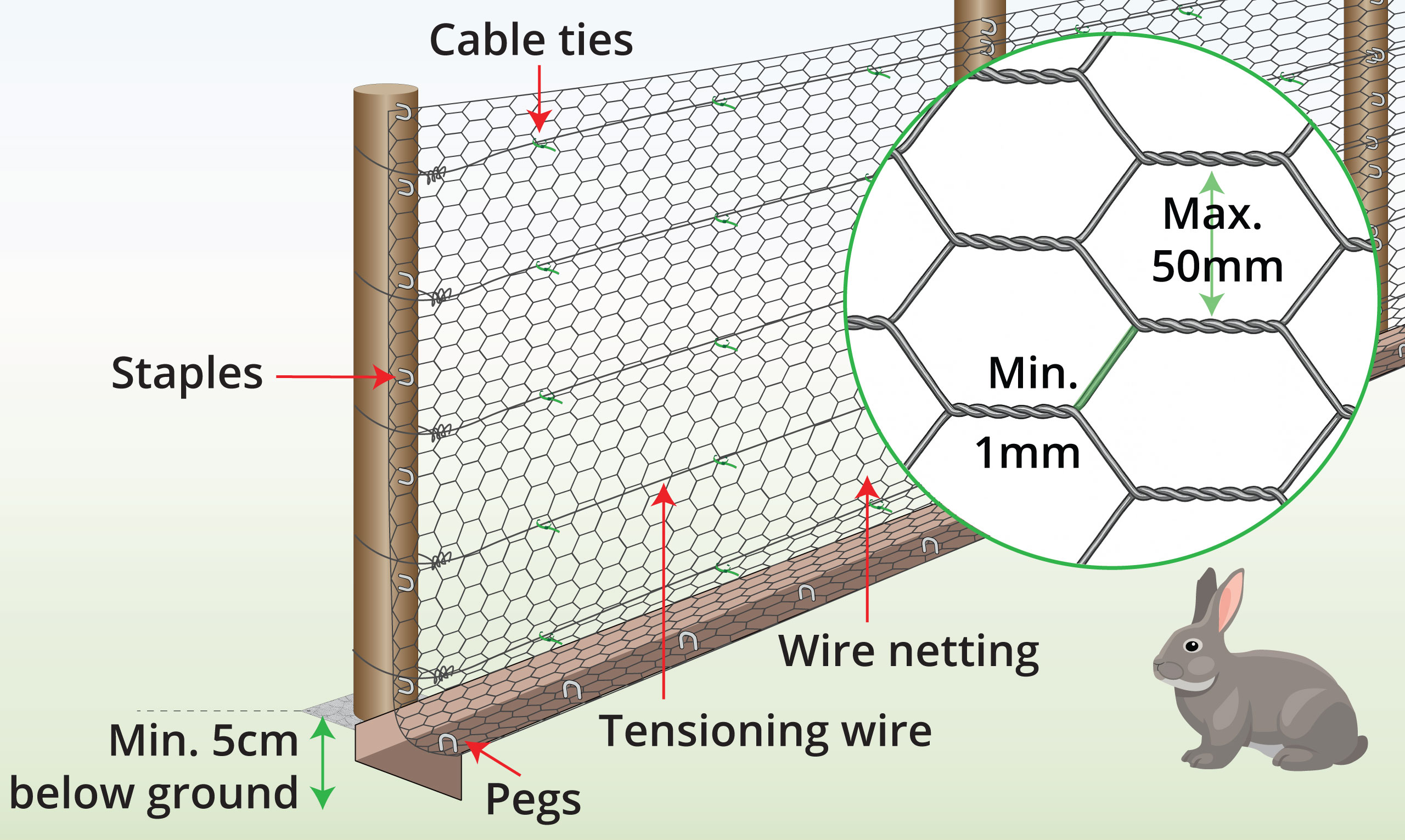 rabbit-fencing-anatomy