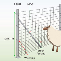 sheep-stock-fence-with-T-post