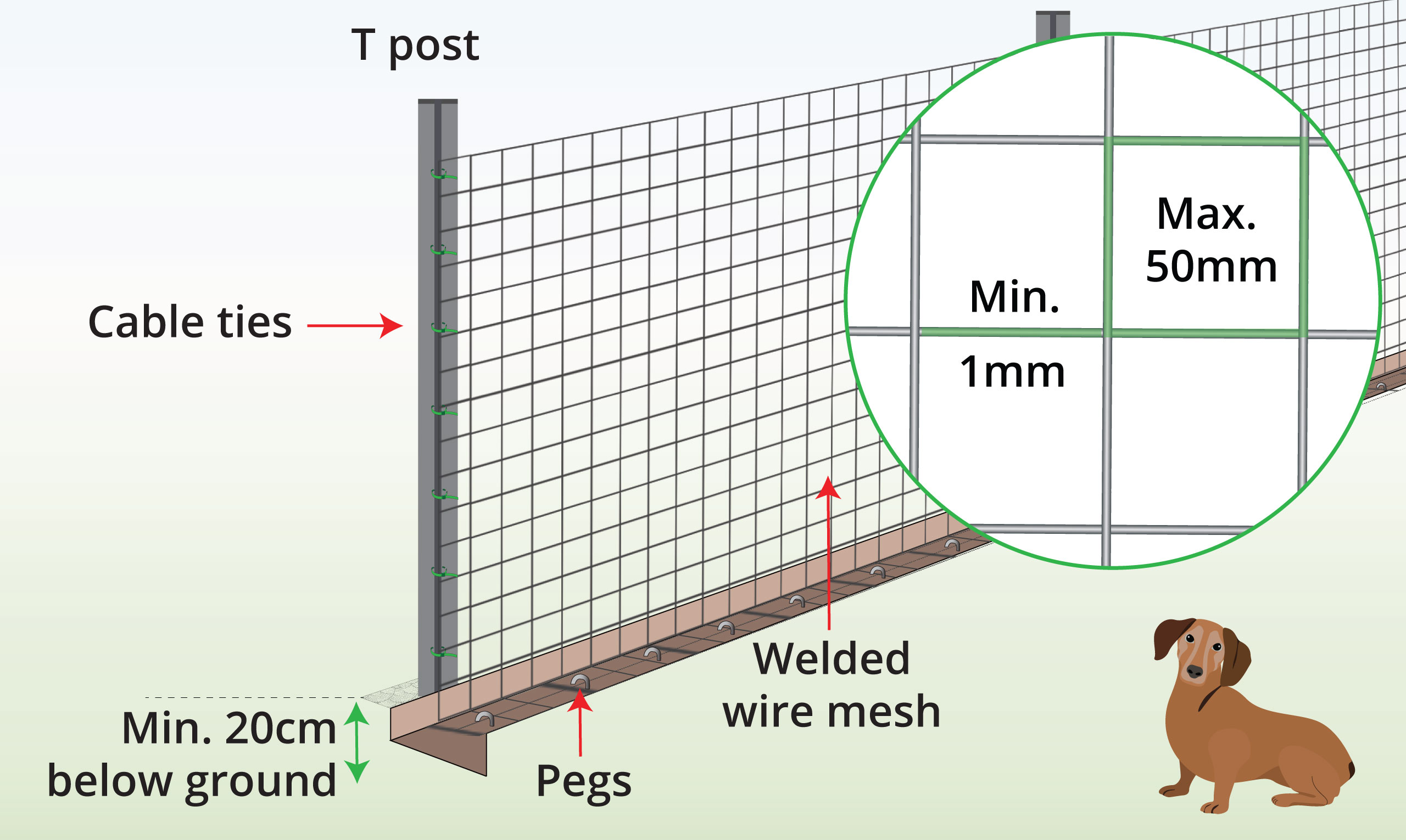 small-dog-fence-anatomy