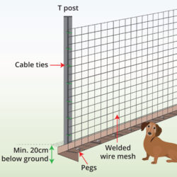 small-dog-fence-anatomy