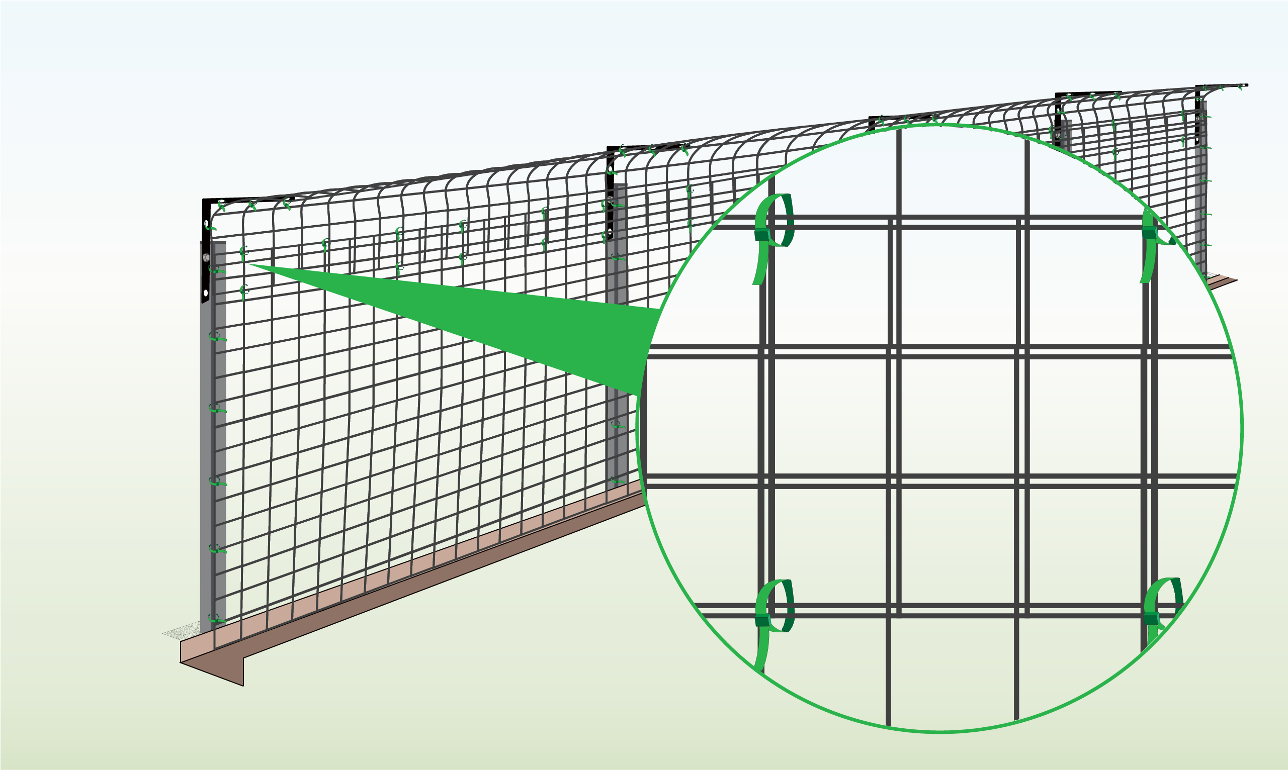 overlap-cat-mesh