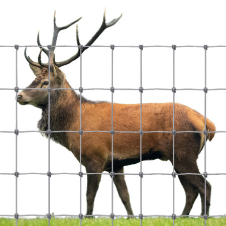 Deer Fencing