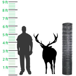 deer-stock-fence-height