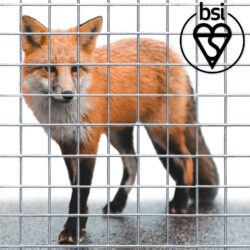 fox-fence-Category-Thumbnail