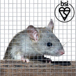 mouse-proof-fence-Category-Thumbnail-logo