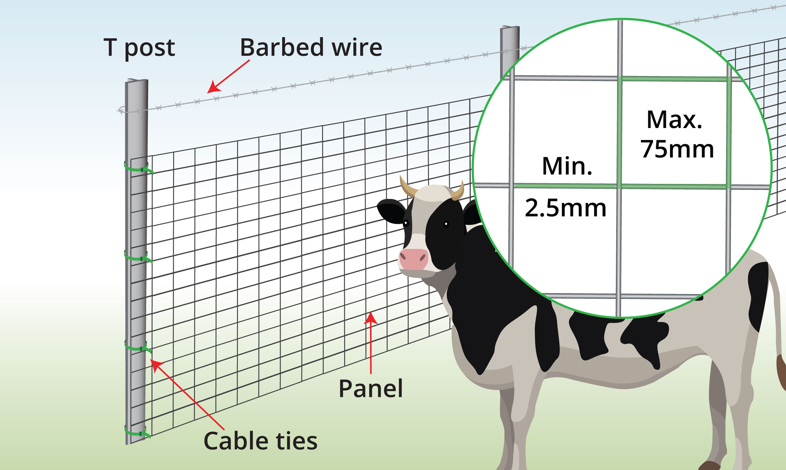 cattle-panel-anatomy