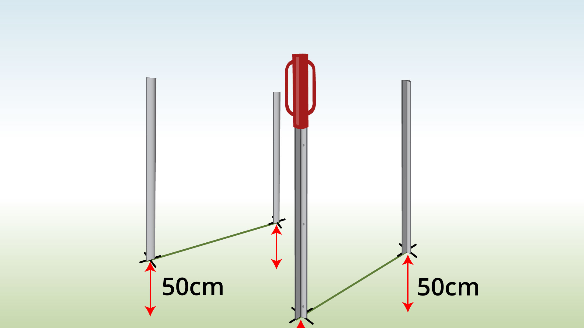 install-cattle-trellis-posts