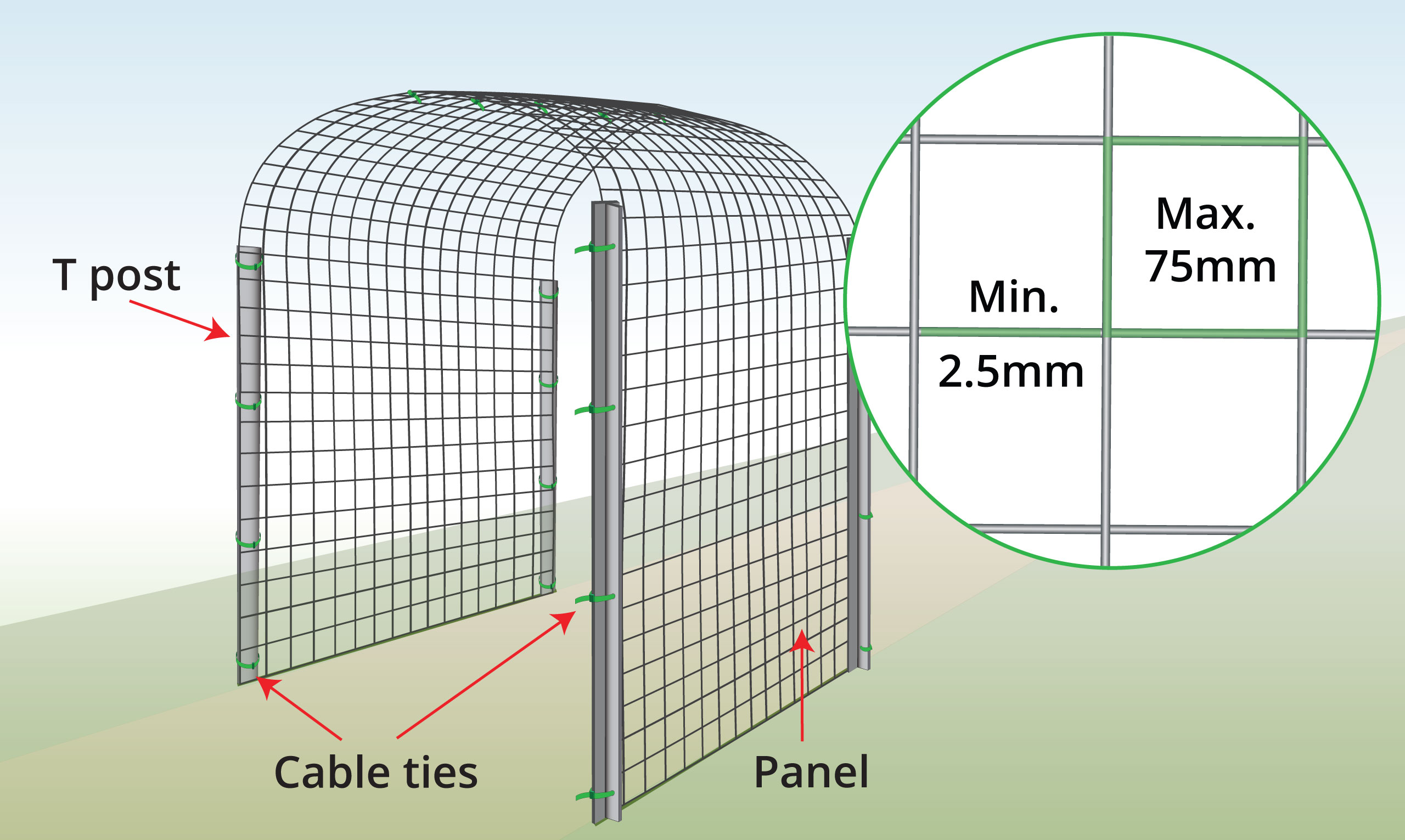 Cattle-panel-trellis-anatomy