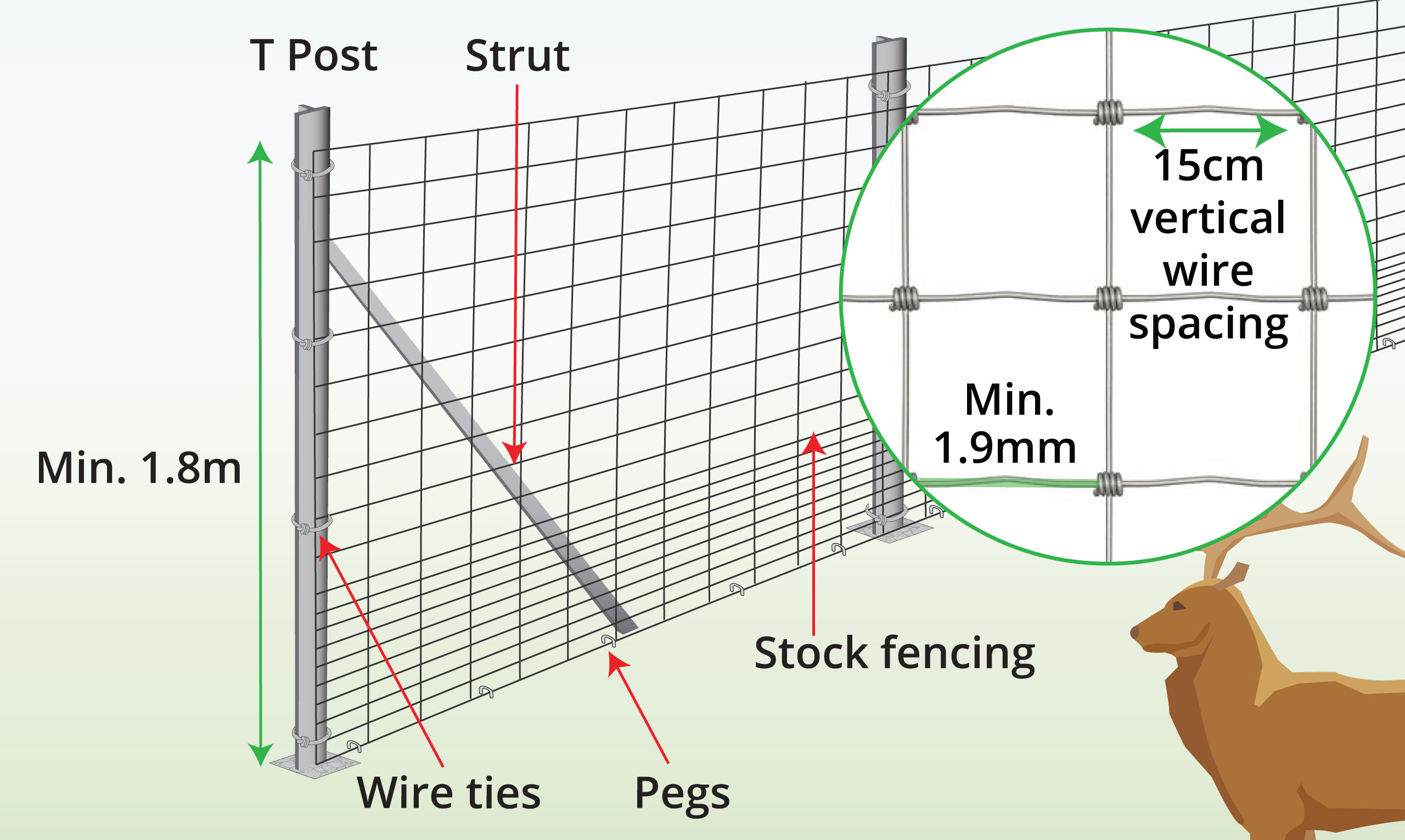 deer-fencing-anatomy