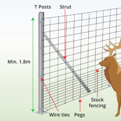 deer-fencing-anatomy