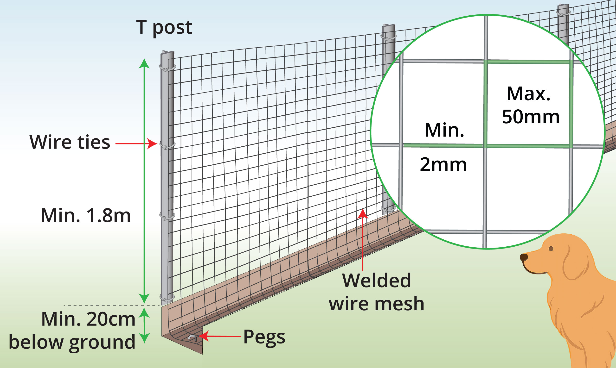 anatomy-of-fence-for-large-dogs