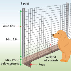 anatomy-of-fence-for-large-dogs