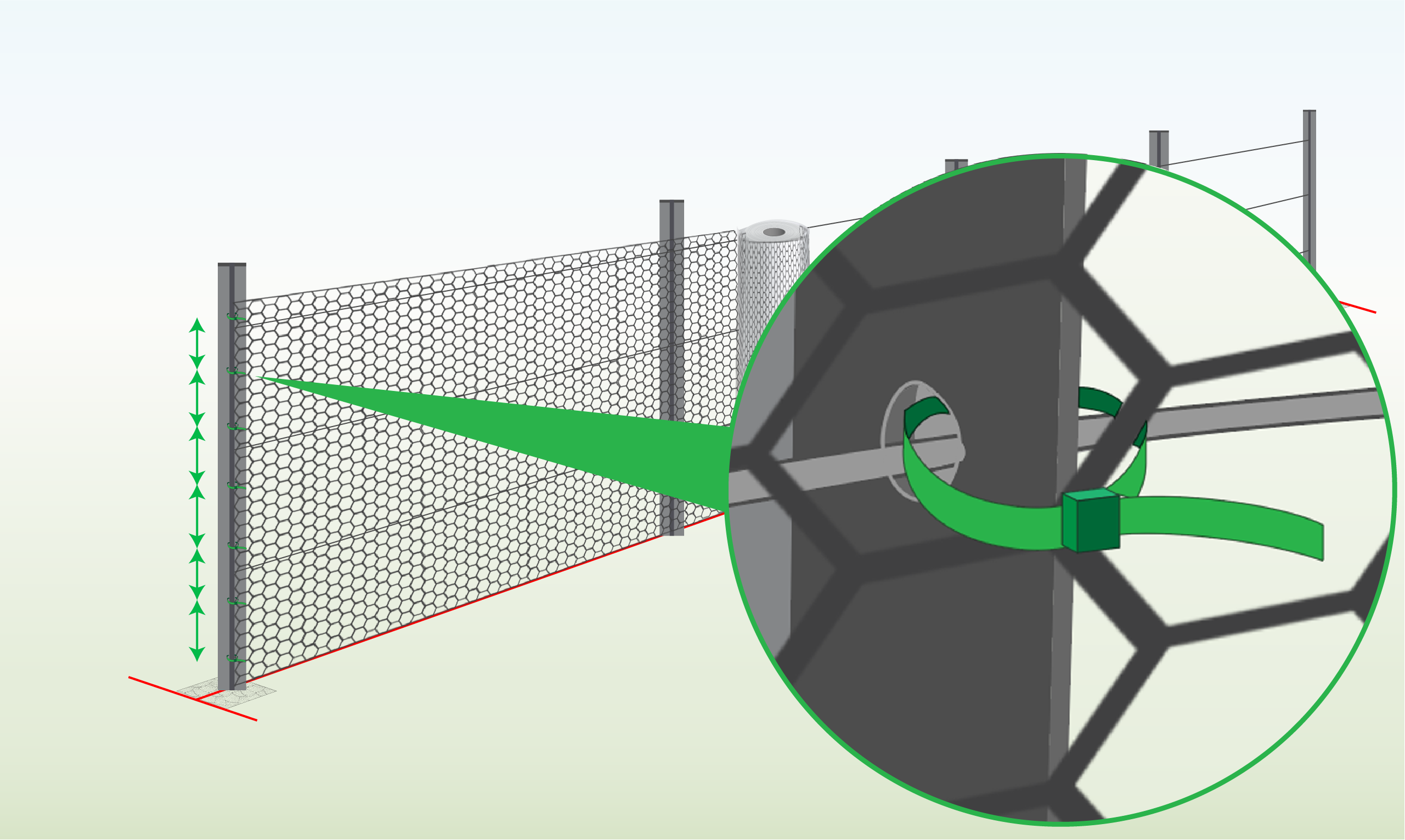 Attach-chicken-wire-to-Post