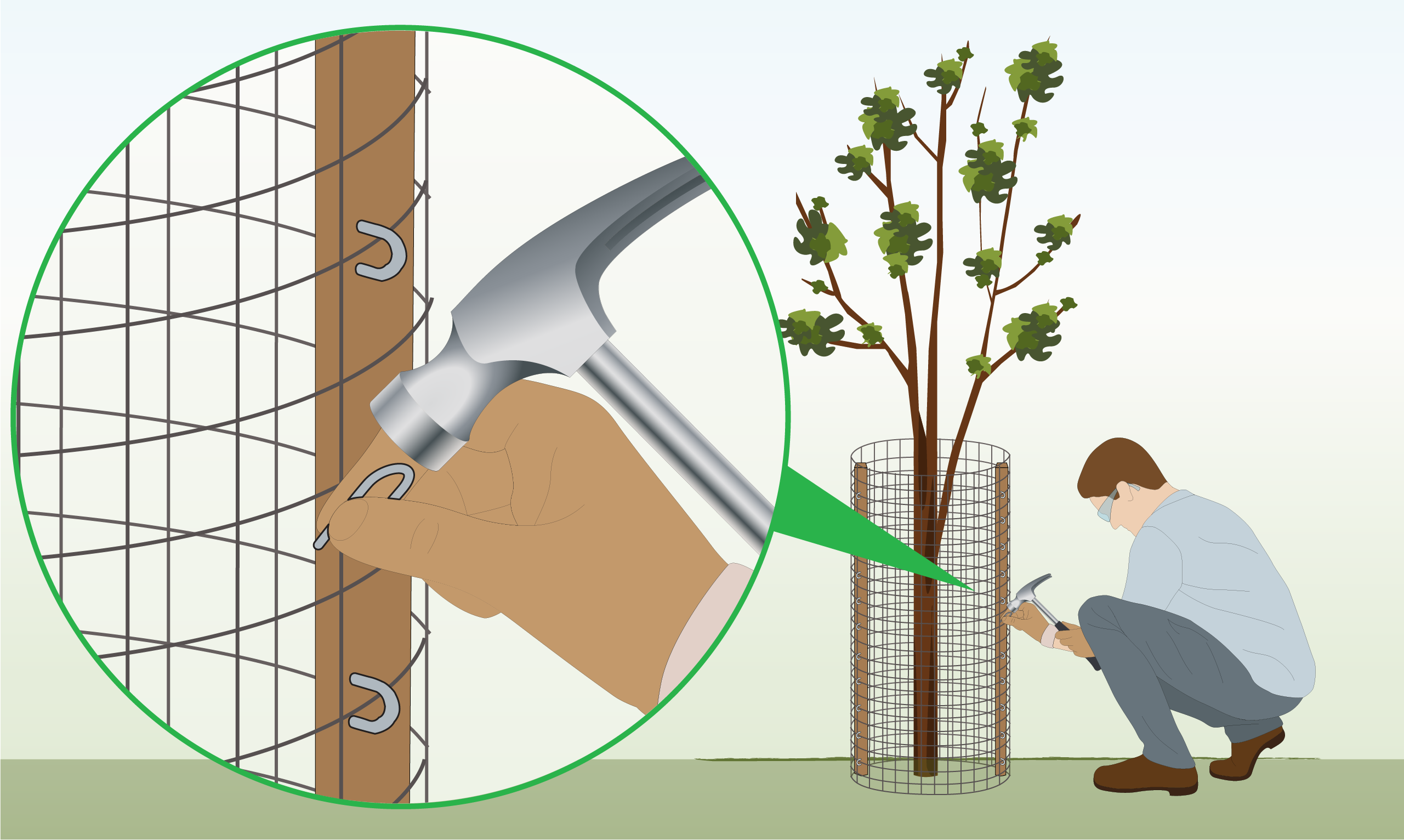 staple-tree-guard-to-stake