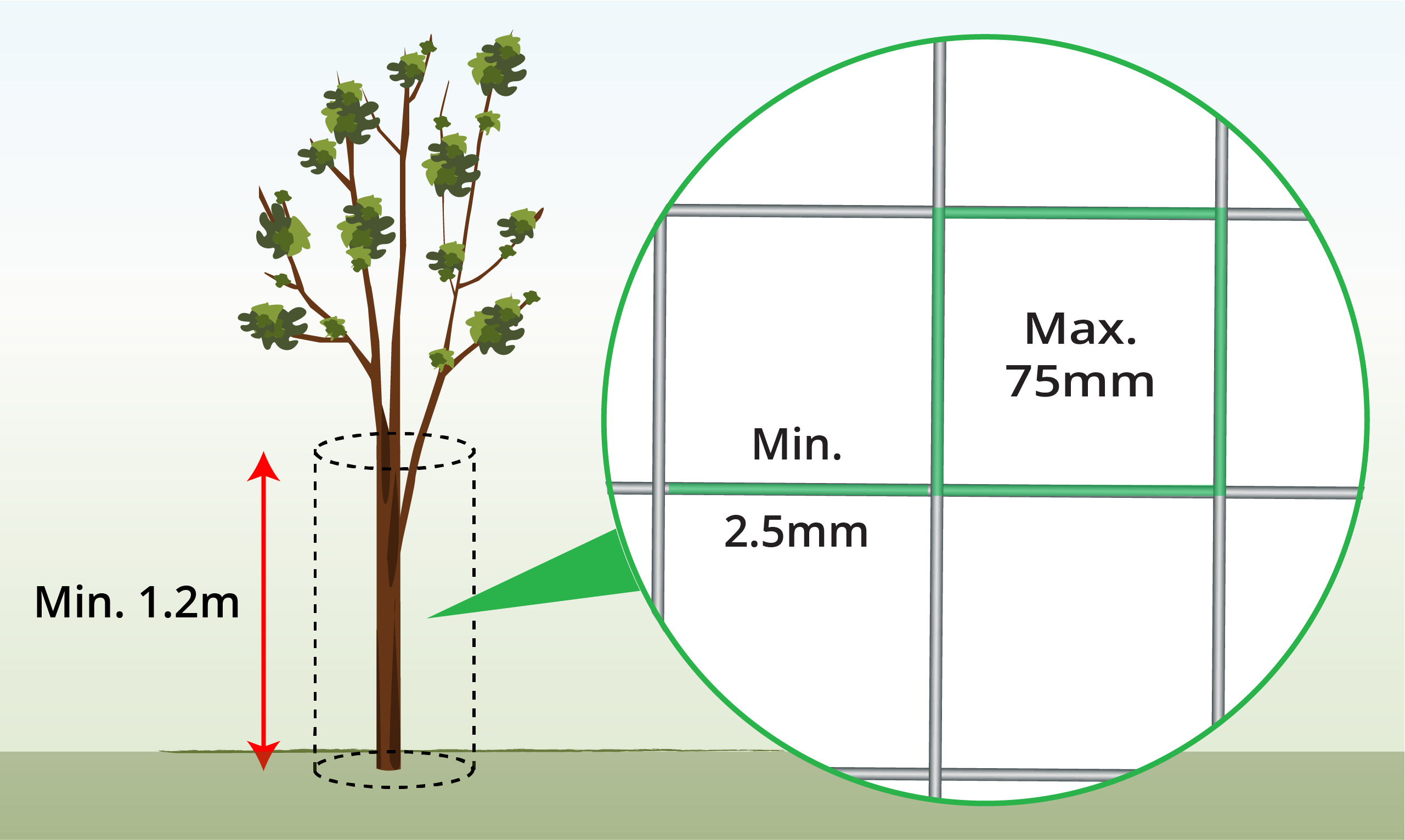 tree-guard-height-and-strength