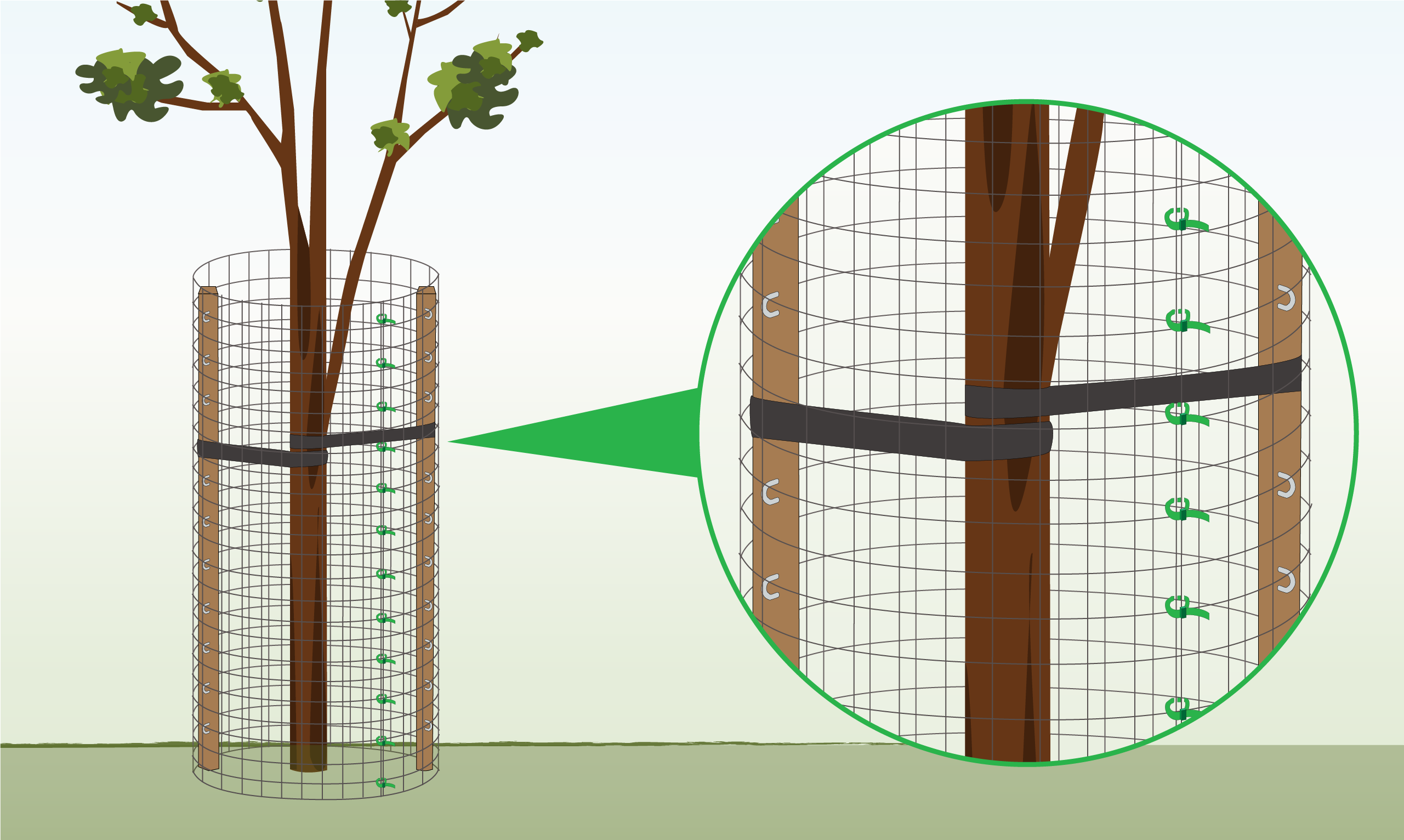tree-guard-additional-support
