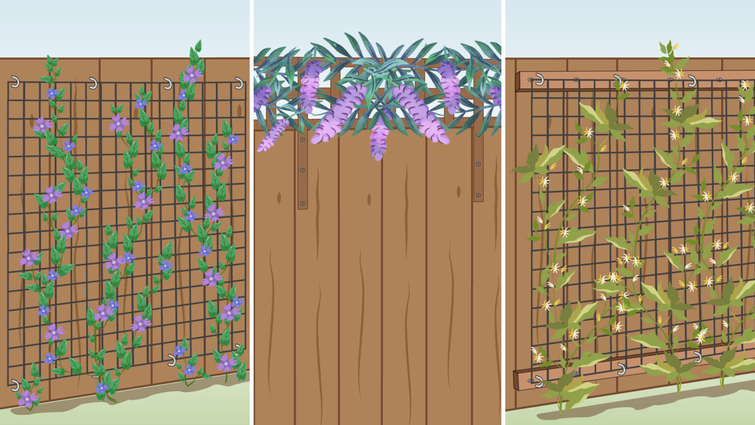 Attach-Trellis-to-a-Fence