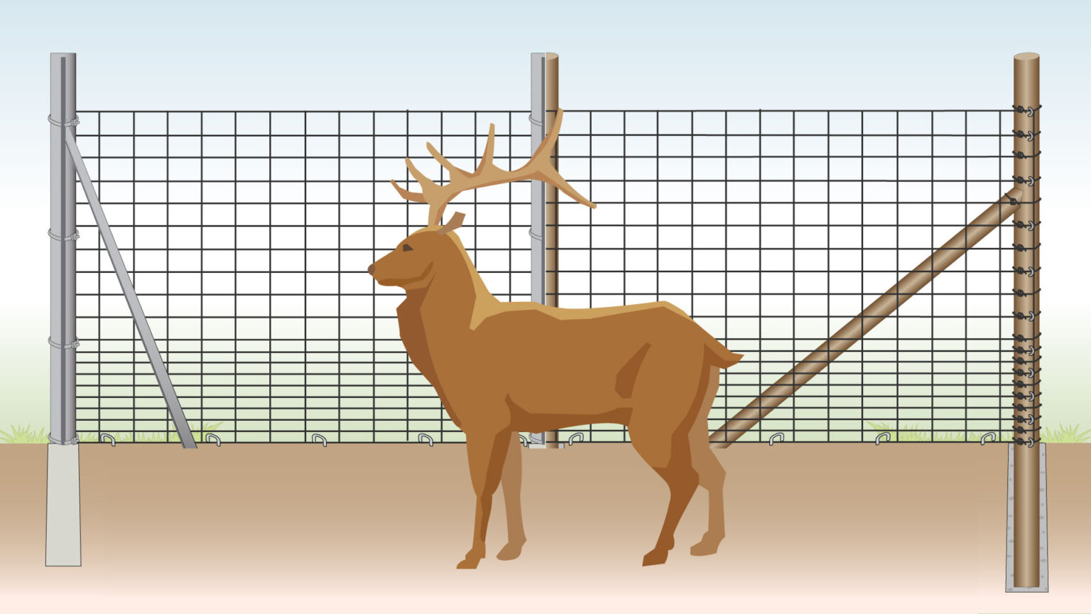 deer-fencing-installation