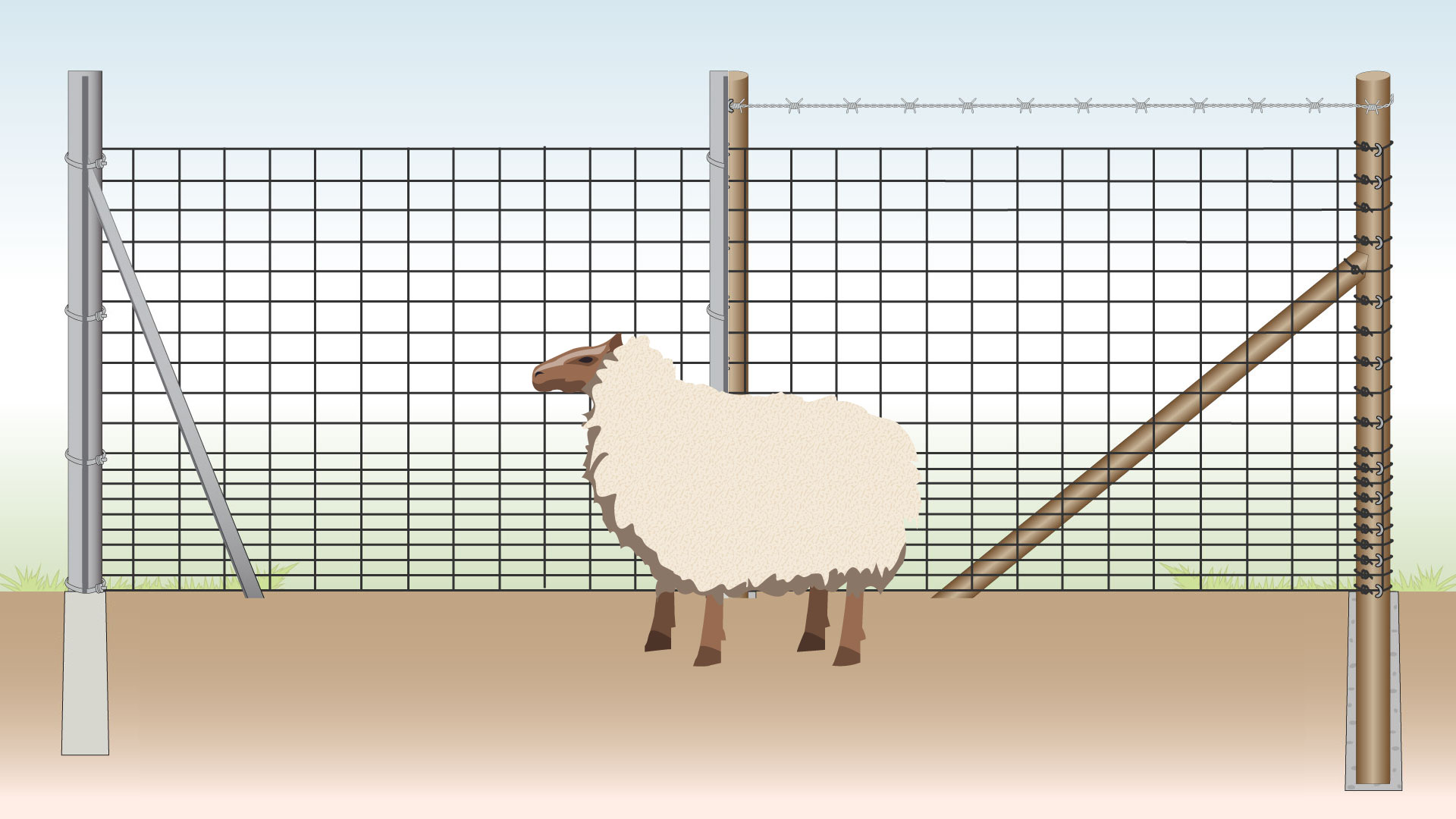 Building a Sheep Fence (STEP BY STEP GUIDE) | Wire Fence