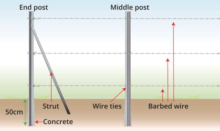 Barbed Wire UK Supplier (NEXT DAY DELIVERY) | Wire Fence
