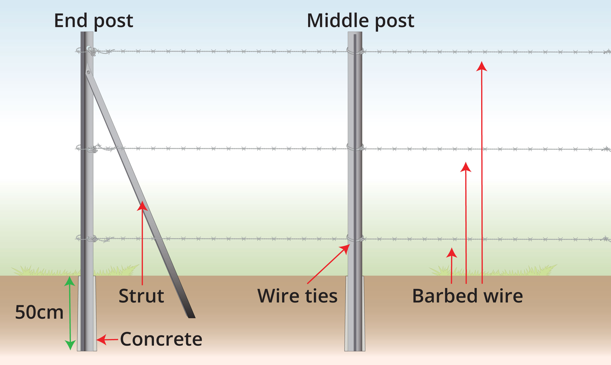 Barbed-wire-anatomy