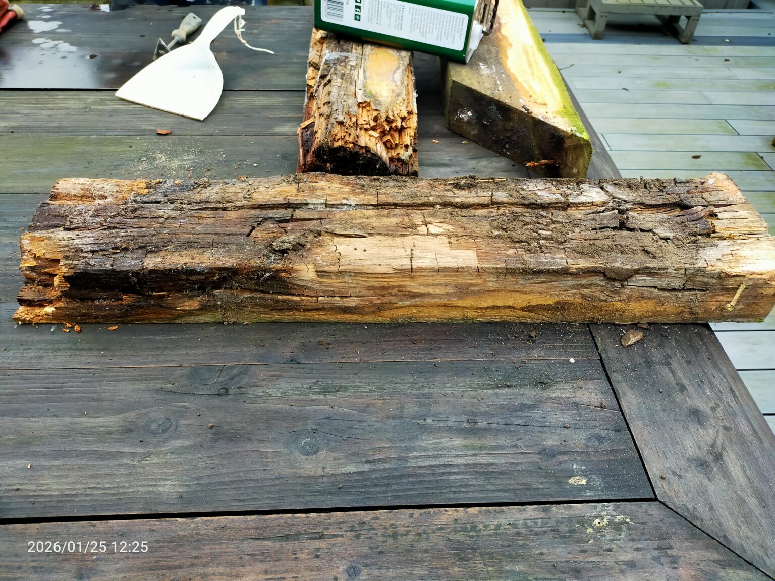 Rotten-timber-post