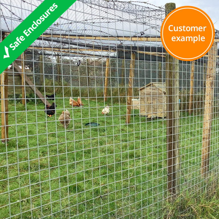 badger-proof-enclosure