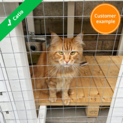 cat-enclosure