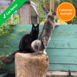 cat-fence