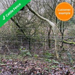cattle-fence