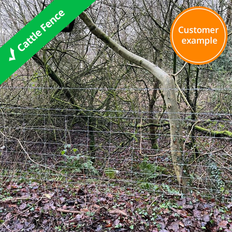 cattle-fence