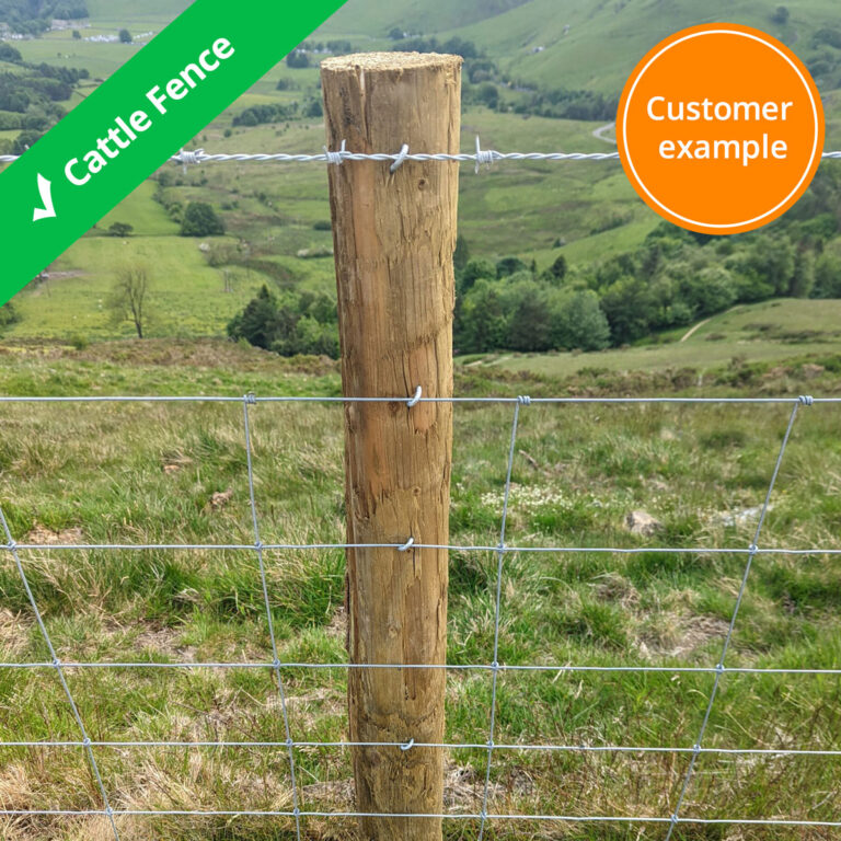 cattle-fence