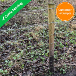 cattle-fence