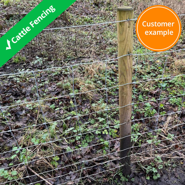 cattle-fence