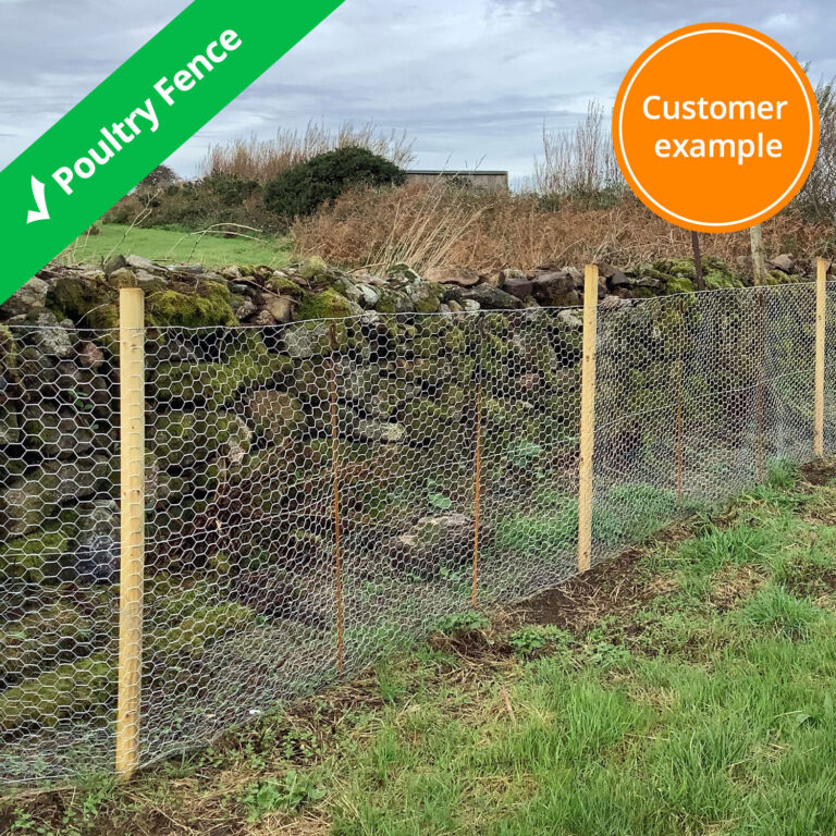 poultry-fence