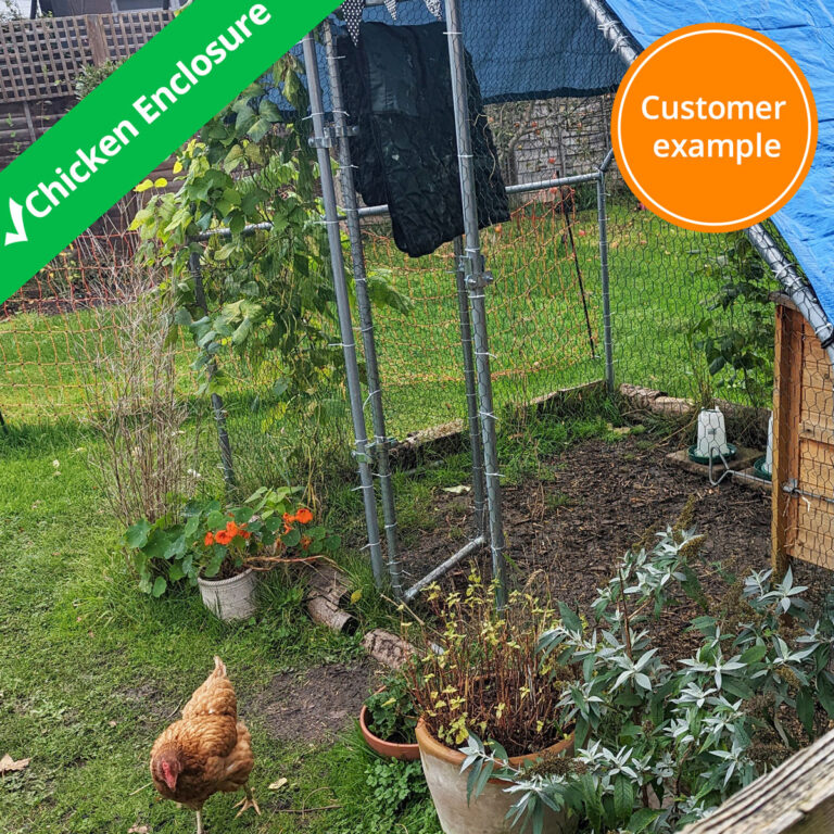 chicken-run