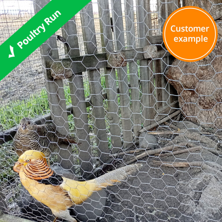 chicken-run-fence