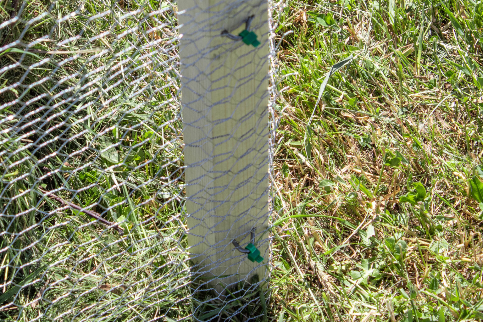 Compost Wire Lock Chicken Wire Compost Bin (Tutorial) | Wire Fence