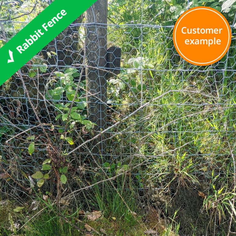 rabbit-fence