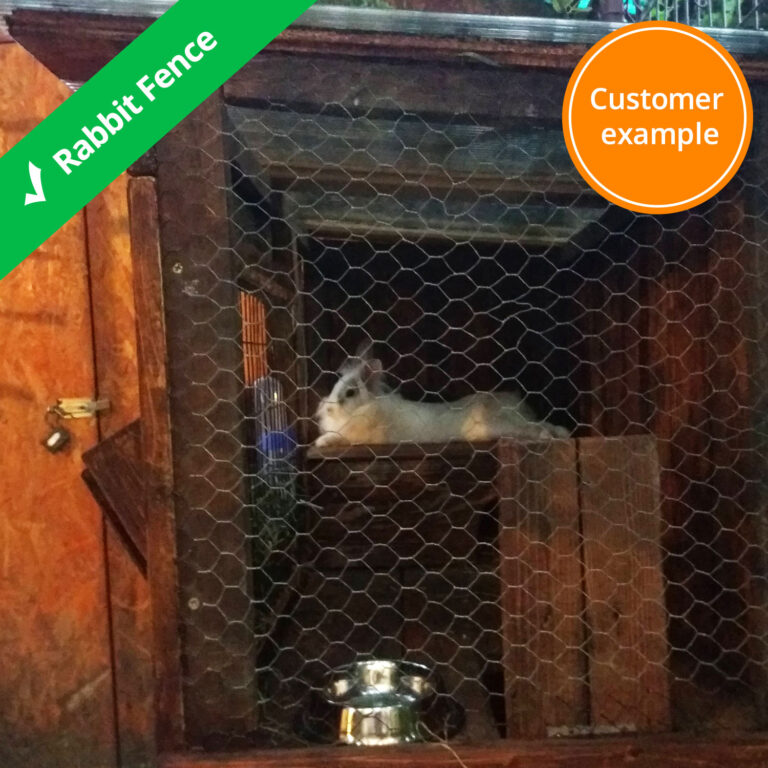 rabbit-enclosure-fence