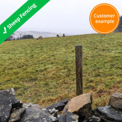 sheep-fence