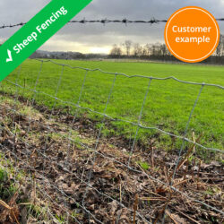 sheep-stock-fence