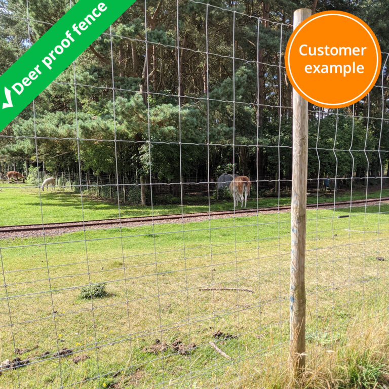 deer-fence