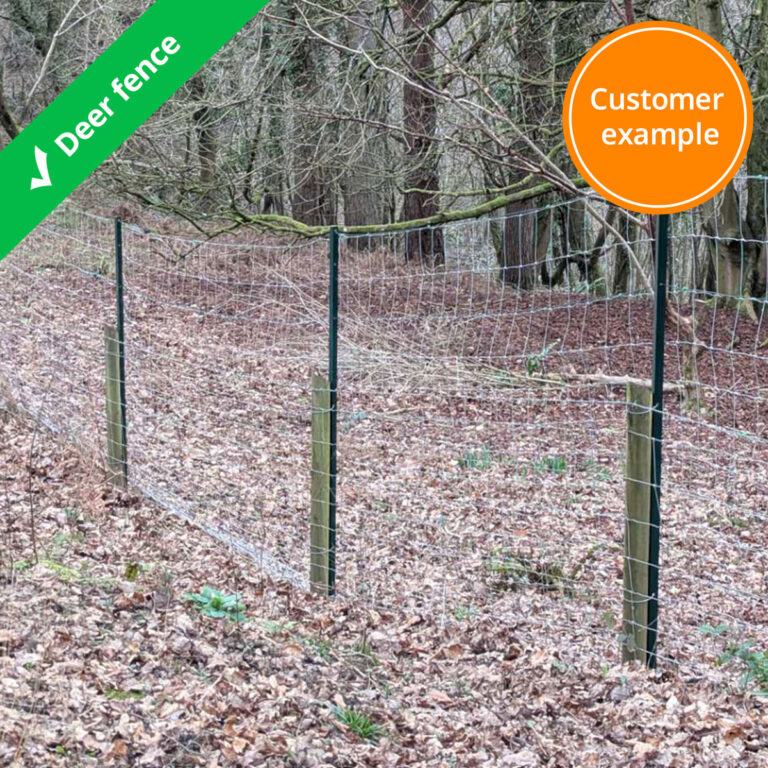 deer-stock-fence