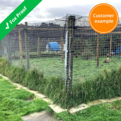 fox-proof-enclosure