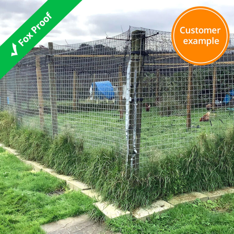 fox-proof-enclosure