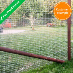 fox-proof-fence